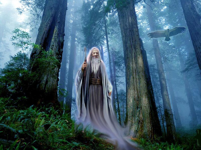 Druid